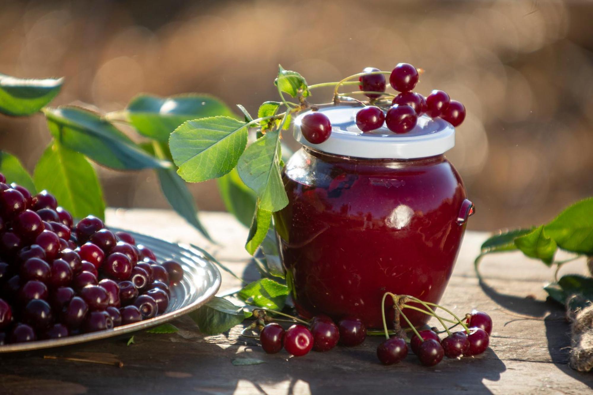 Agriturismo Terra E Sapori Campodipietra Εξωτερικό φωτογραφία
