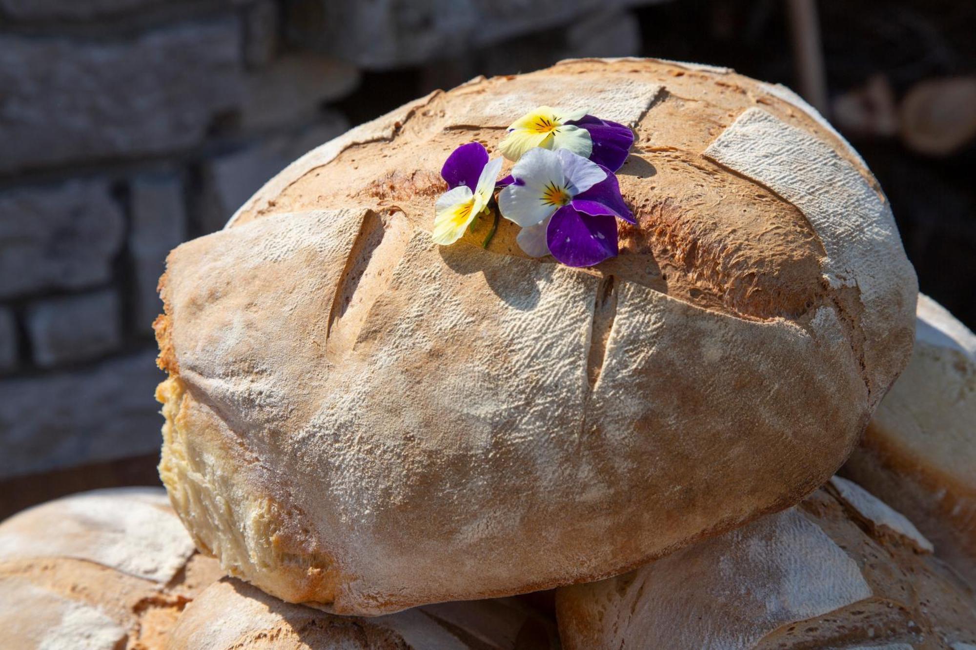Agriturismo Terra E Sapori Campodipietra Εξωτερικό φωτογραφία