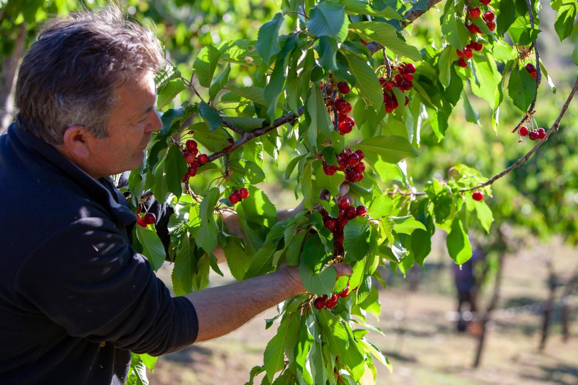 Agriturismo Terra E Sapori Campodipietra Εξωτερικό φωτογραφία
