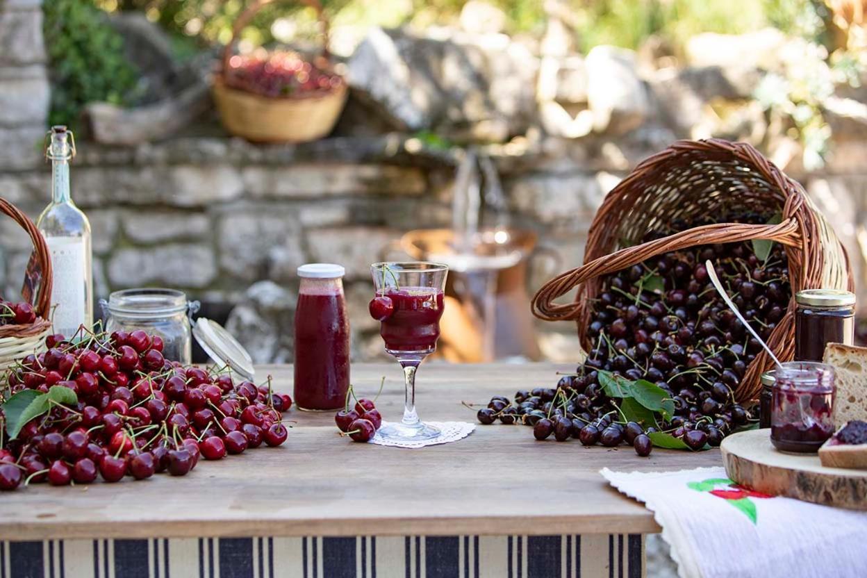 Agriturismo Terra E Sapori Campodipietra Εξωτερικό φωτογραφία