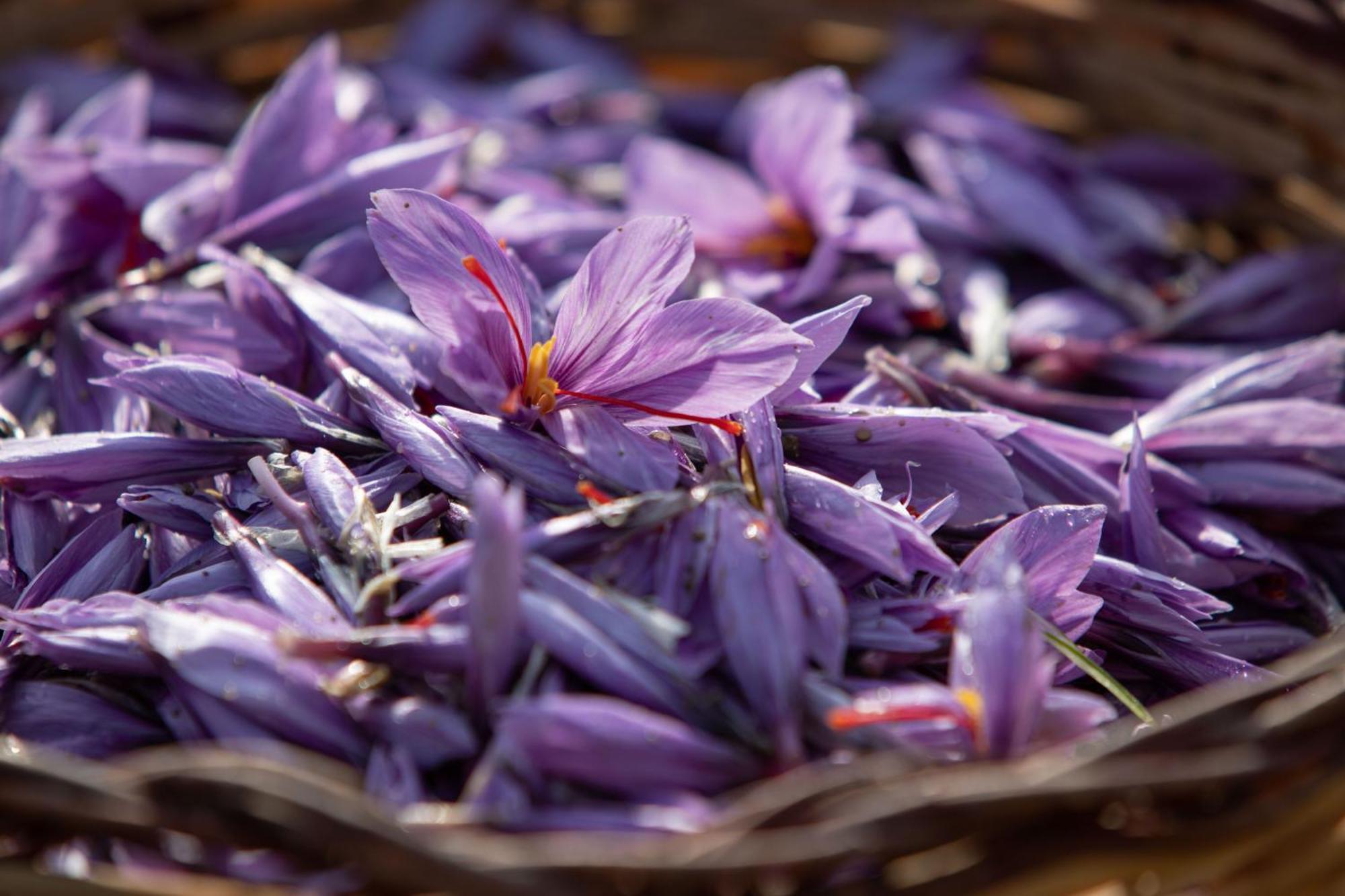 Agriturismo Terra E Sapori Campodipietra Εξωτερικό φωτογραφία