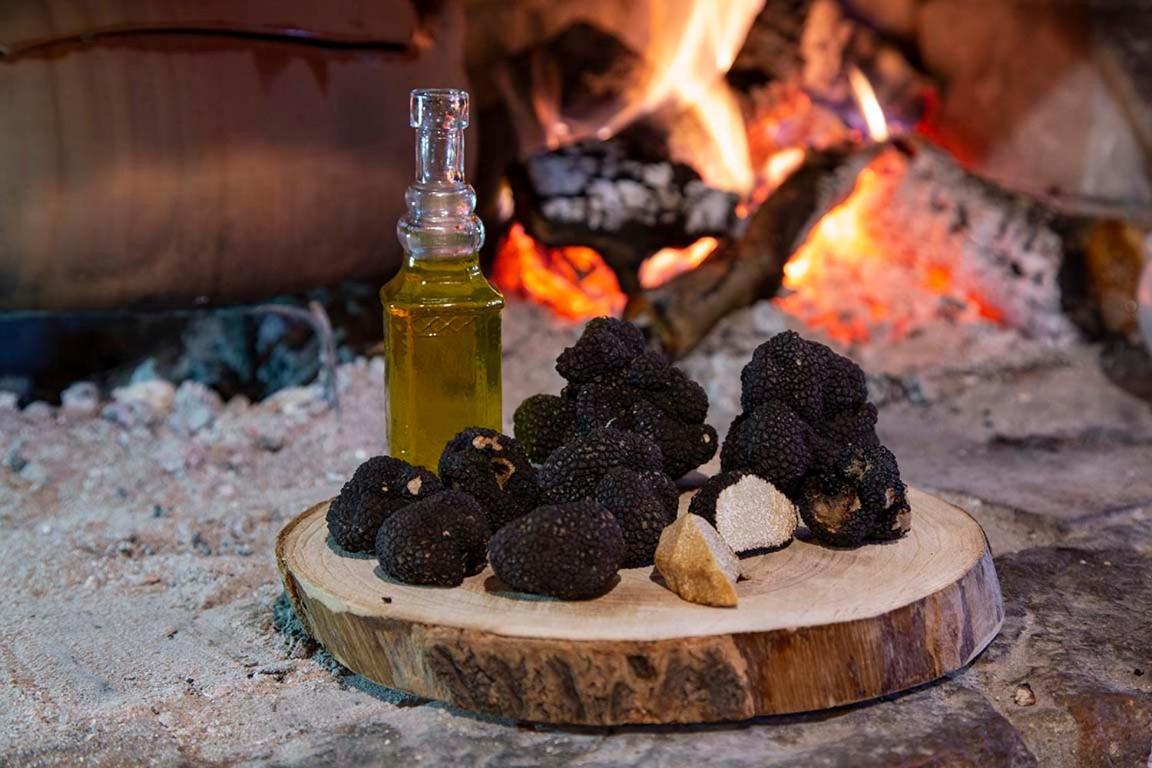 Agriturismo Terra E Sapori Campodipietra Εξωτερικό φωτογραφία